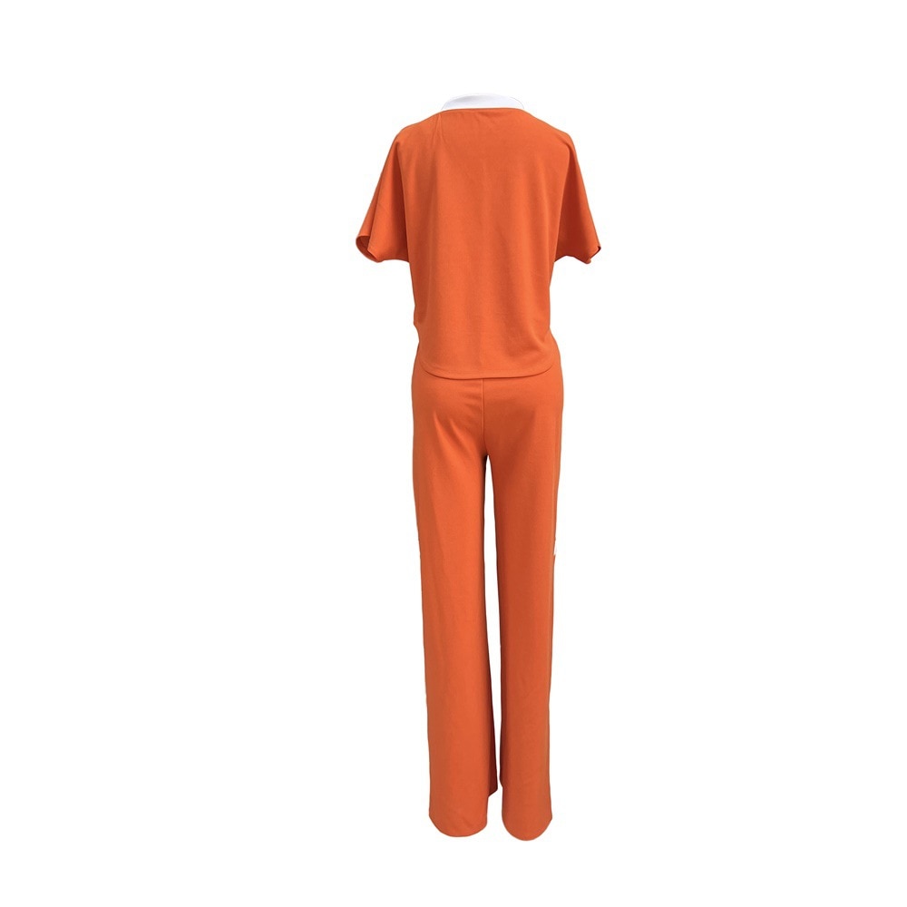 BerryBetty - Summer Fashion Casual Two Piece Set Women V Neck Short-sleeved T-shirt Elastic Straight Pants Two Piece Suit Women