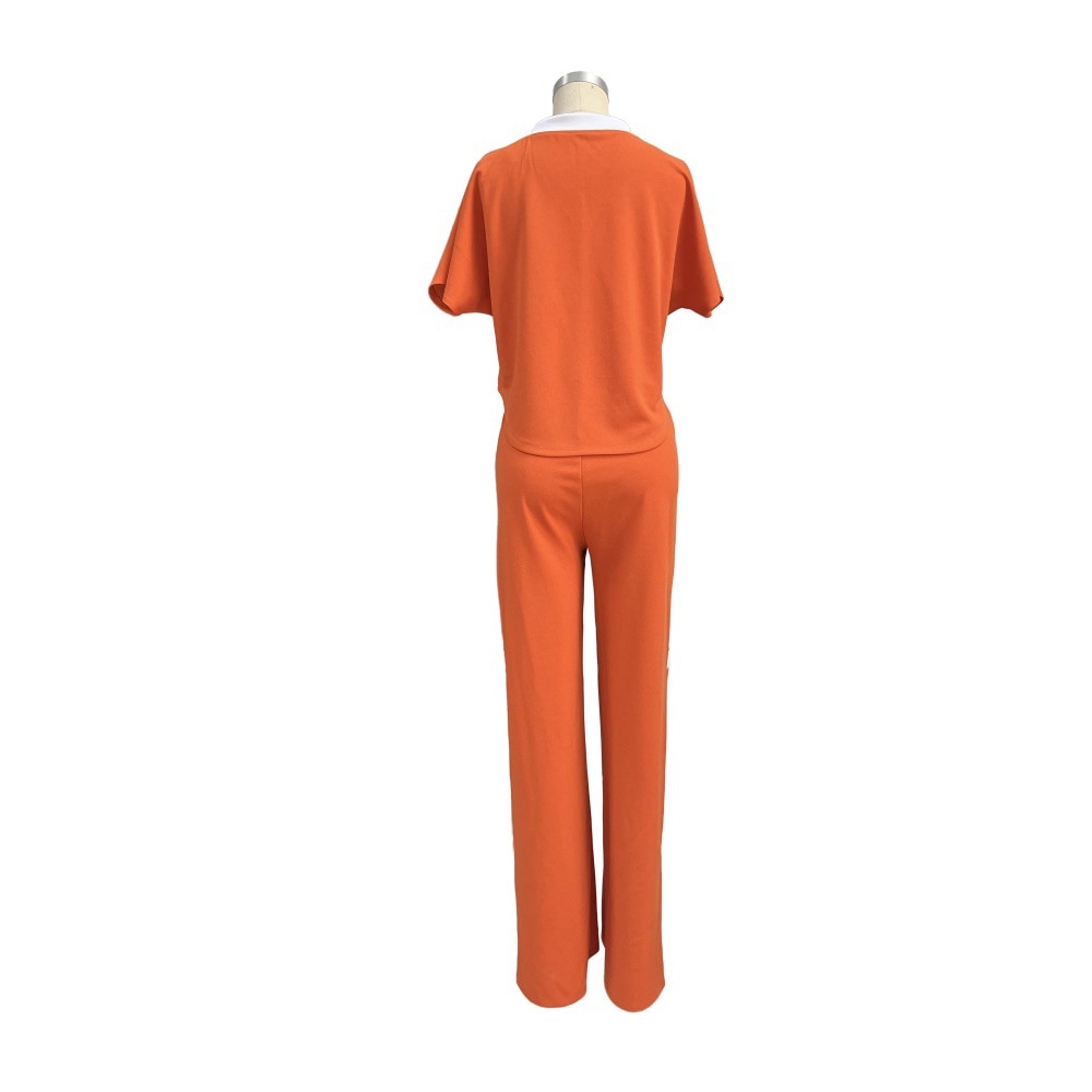 BerryBetty - Summer Fashion Casual Two Piece Set Women V Neck Short-sleeved T-shirt Elastic Straight Pants Two Piece Suit Women