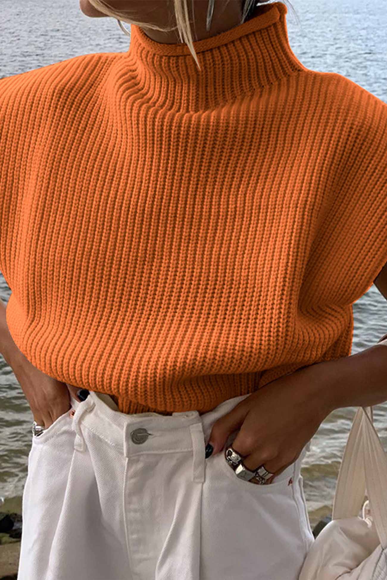 BerryBetty - Solid Mock Neck Sleeveless Sweater