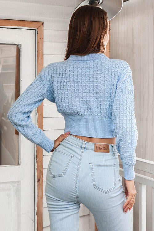 BerryBetty - Round Neck Long Sleeve Cropped Sweater