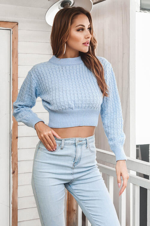 BerryBetty - Round Neck Long Sleeve Cropped Sweater