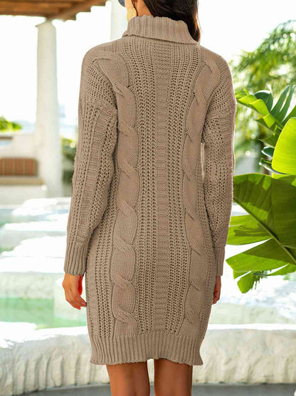 BerryBetty - Turtleneck Ribbed Sweater Dress