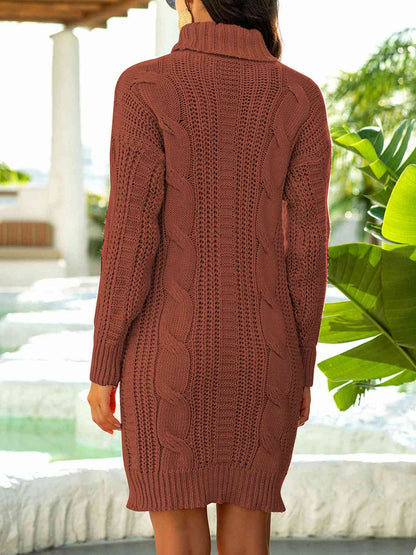 BerryBetty - Turtleneck Ribbed Sweater Dress