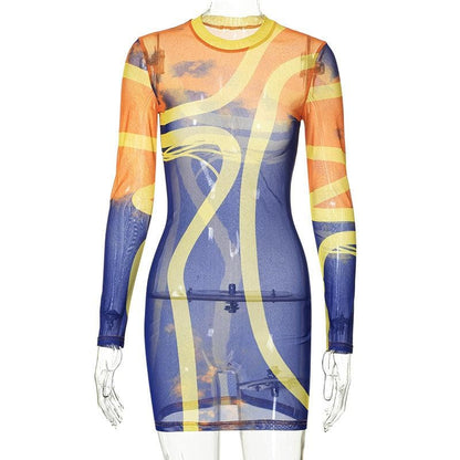 BerryBetty - Sheer mesh see through long sleeve contrast crewneck mini dress